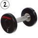 Гантель цільна професійна LIFE FITNESS GA-80081-2 1шт 2кг GA-80081- фото 1