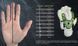 Перчатки вратарские Select GOALKEEPER GLOVES 04 YOUTH v24 синий, белый 601031-202 (Оригинал) 4 601031-202 фото 7