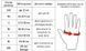 Перчатки для смешанных единоборств MMA BO-5699-OR XXS BO-5699-OR фото 6