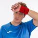 Напульсник Joma TORNEO WRISTBAND OSFM Красный 400245.000  фото 2
