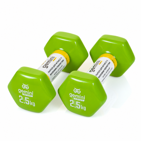 Гантели для фитнеса Gemini Sport с виниловым покрытием 2&times;2,5 кг GSD-2.5GR GSD-2.5GR фото