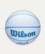 М'яч баскетбольний Wilson CC ENVISION BSKT розмір 5 WZ3022401XB5 (Оригінал) WZ3022401XB5 фото 2