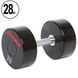 Гантель цільна професійна LIFE FITNESS GA-80081-28 1шт 28кг GA-80081-28 фото 1